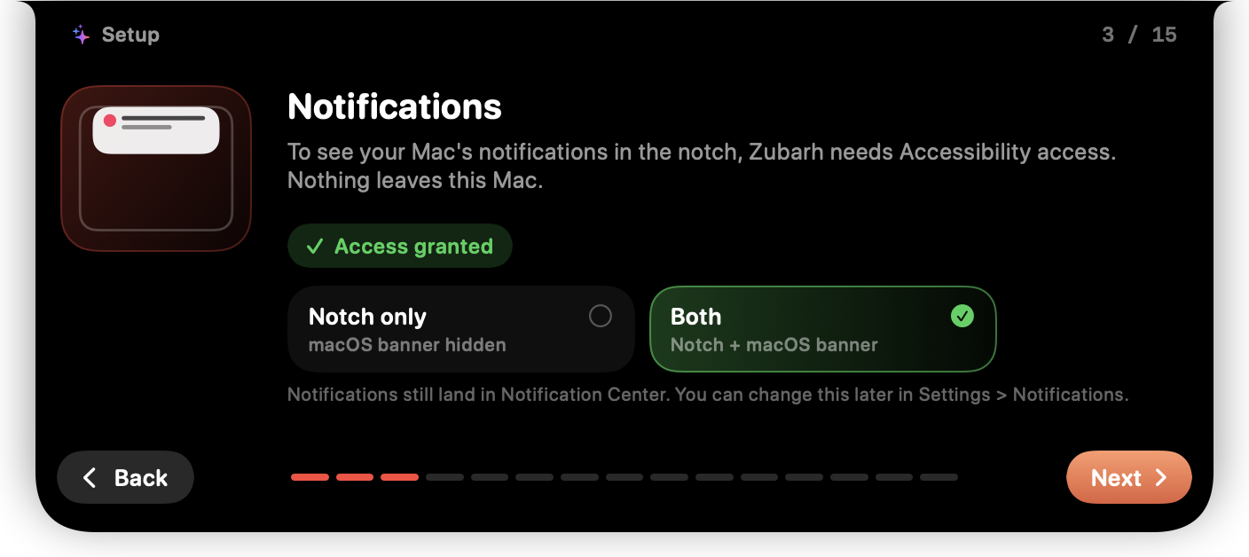 Setup step 3: notifications, access granted