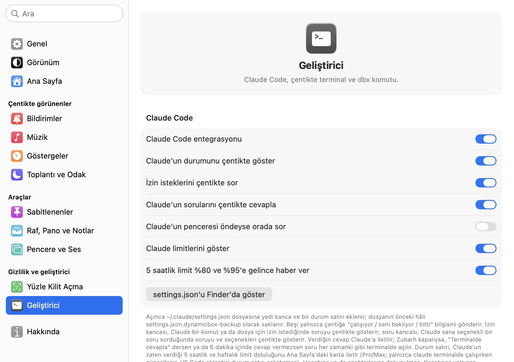 Ayarlar, Geliştirici: Claude Code entegrasyonu ve limitler
