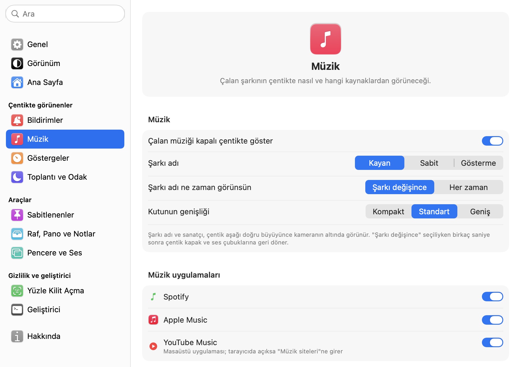 Ayarlar, Müzik: şarkı adı ve müzik uygulamaları