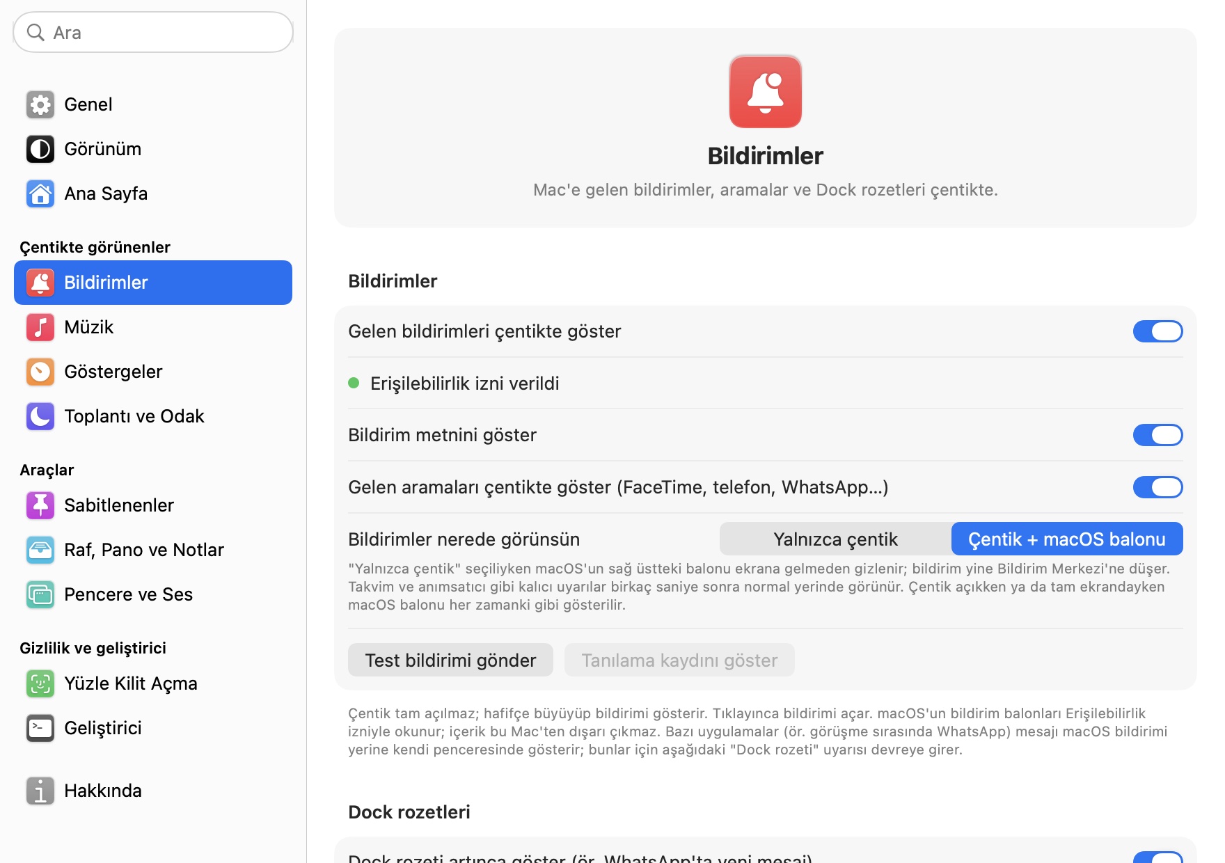 Ayarlar, Bildirimler: bildirimler, aramalar ve nerede görünecekleri